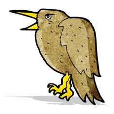 Cartoon Bird N23