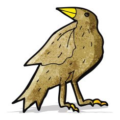 Cartoon Bird N24
