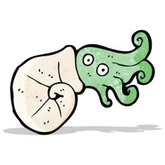 cartoon nautilus squid