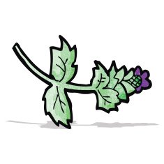 cartoon flower N51