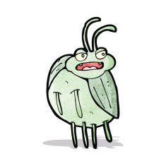 funny cartoon bug N2