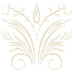 Vector Elegant background with lace ornament N28