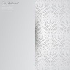 Vector Elegant background with lace ornament N31