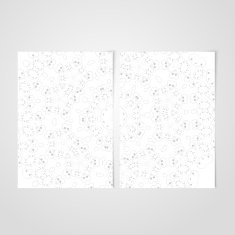 Vector Elegant background with lace ornament N40