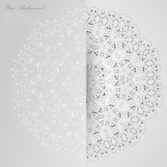 Vector Elegant background with lace ornament N43