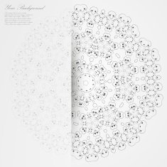 Vector Elegant background with lace ornament N45