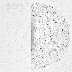 Vector Elegant background with lace ornament N47