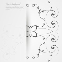 Vector Elegant background with lace ornament N55