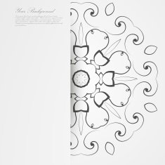 Vector Elegant background with lace ornament N58