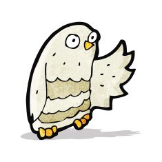 Cartoon Owl N37