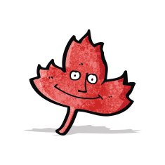 Cartoon Leaf N10