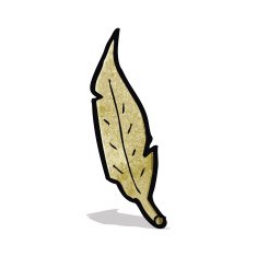 Cartoon Feather N5