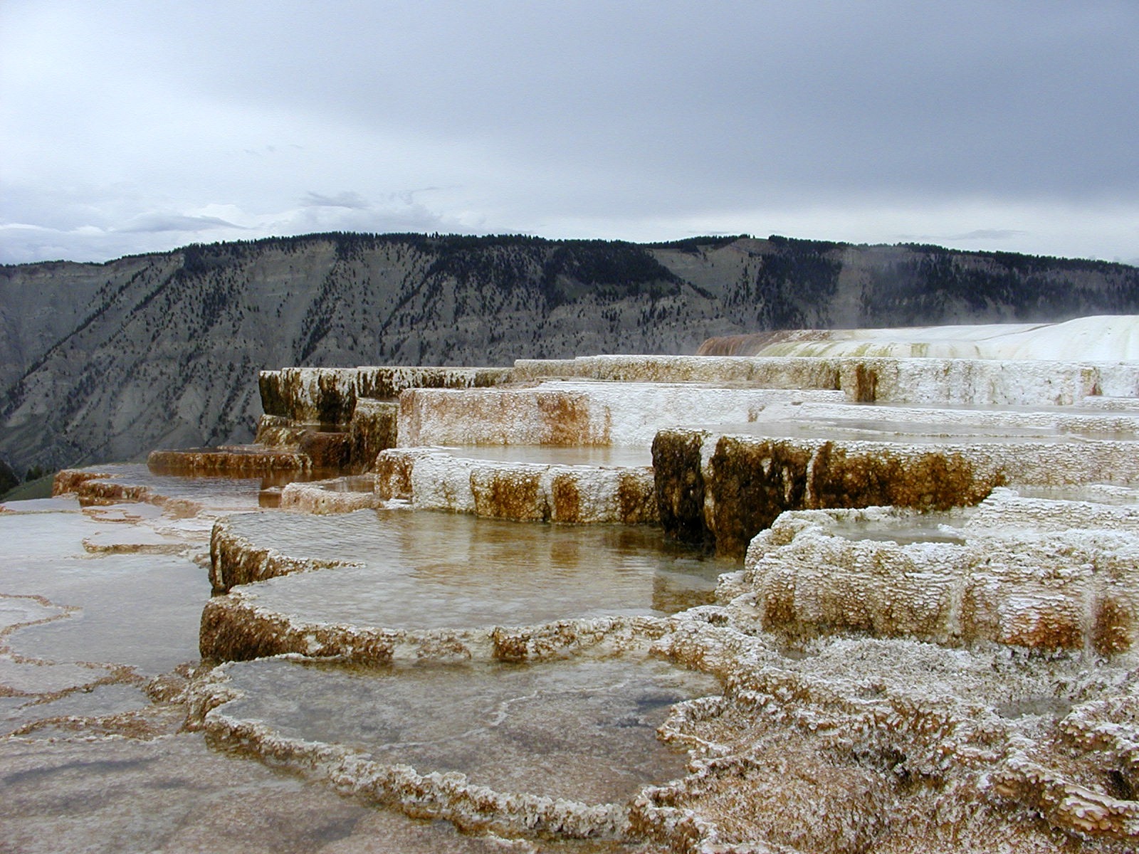 Panorama of mammoth hot spring in the usa free image download