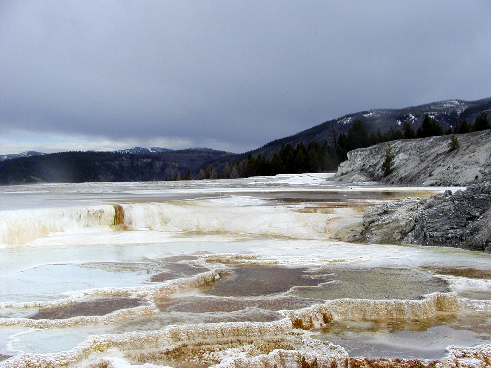 Panoramic view of the hot springs in Yellowstone National Park free ...