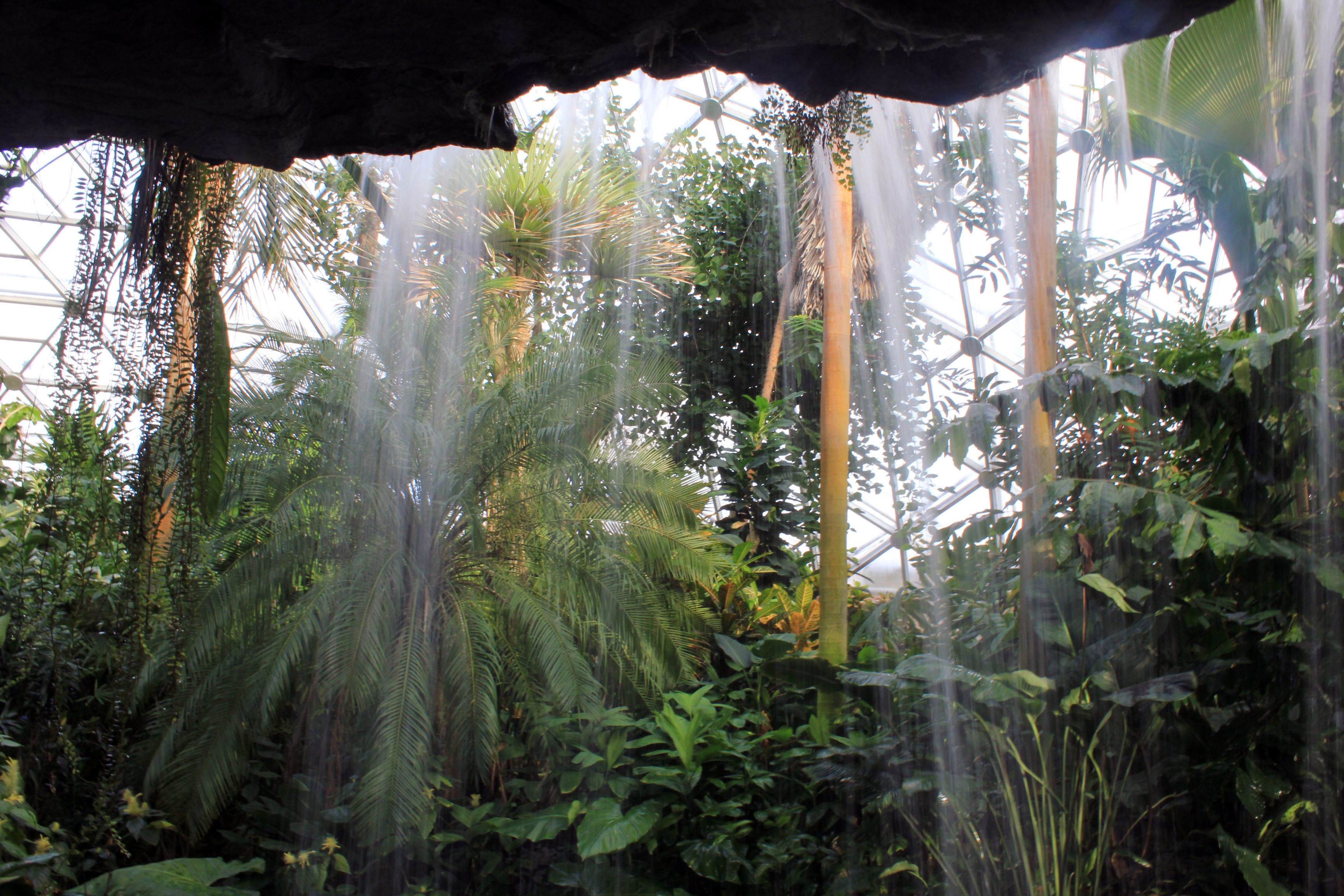 Джунглия Ботанический сад с водопадом