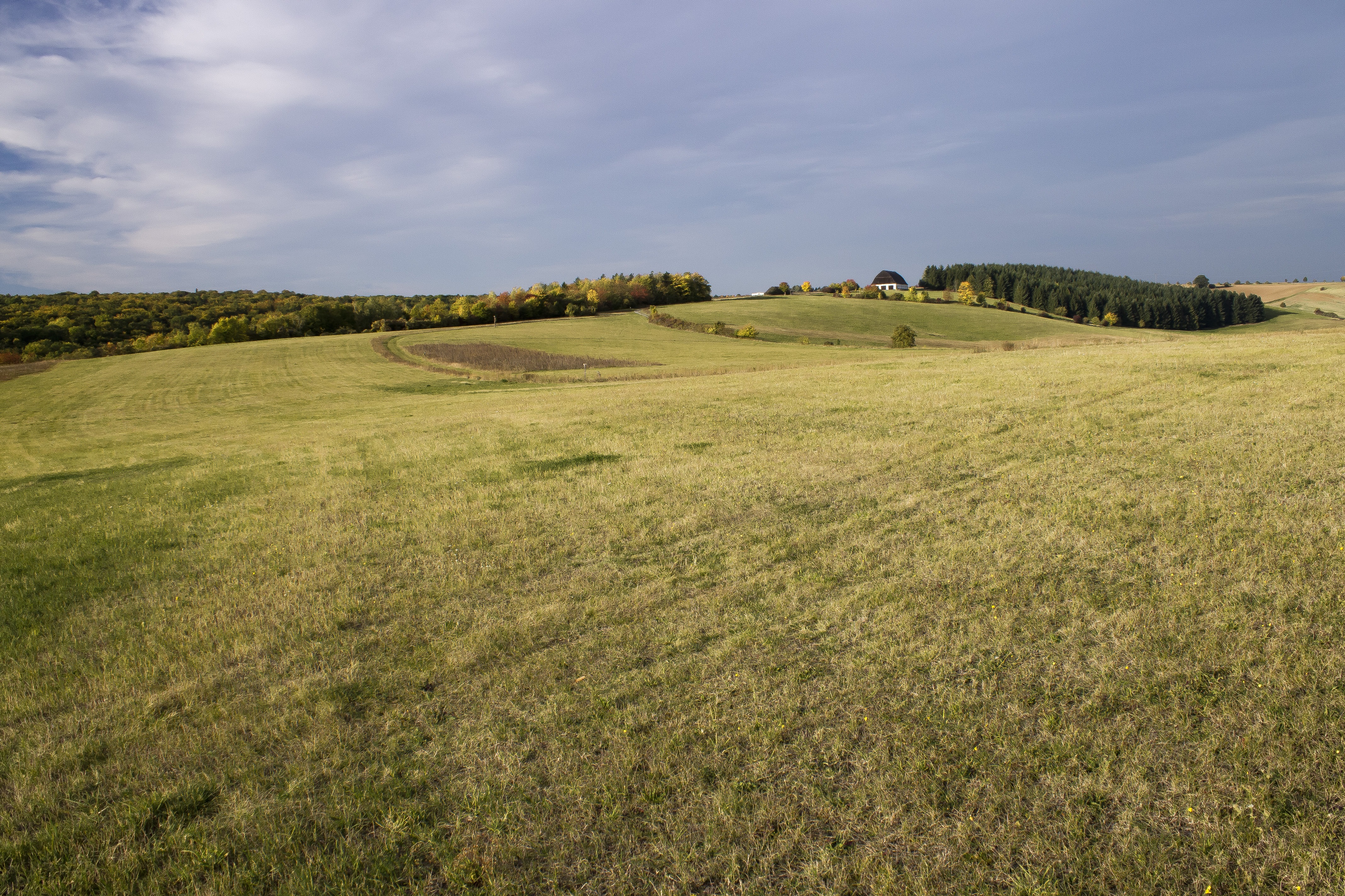 Широкое поле. Фото равнины с сердечками. Wide Meadow. A wide field. Wide fields picture.