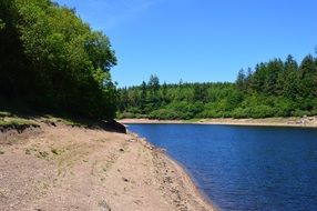 trenchford reservoir in green trees sunny weather