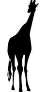 silhouette drawing of a tall african giraffe