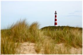 red white lighthouse on beach dunes