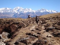 trekking humans on the mountains