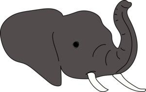 elephant head draft