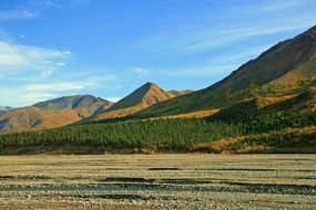 wild landscape in alaska