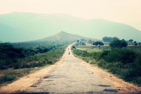 Road on a green hill among the plants in the beautiful countryside