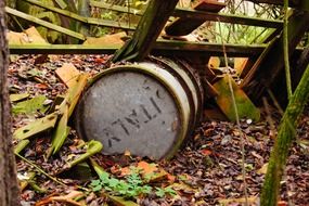 Dirty barrel on dry leaves