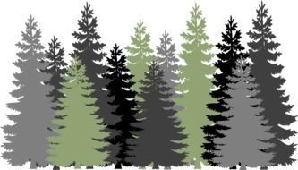 forest trees drawing