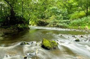 A lot of the rocks in the river