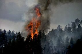 colorado forest fire sky clouds smoke