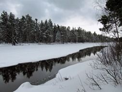 forest and stream in winter, Finland