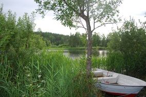 summer landscape with white boat at lake shore