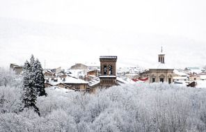 snowy roofs of old town behind trees