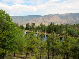 mountain lake among forest