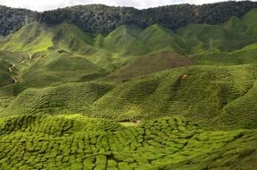 landscape of wilderness scenery