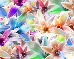 orchids flowers beauty color plant