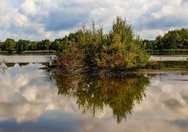 the island of the pond