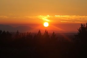 orange sunset over the trees in Issaquah