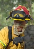 firefighter in a forest fire
