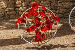 red flowers on a bicycle wheel