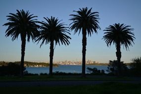 distant view of sydney