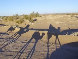 sahara morocco desert barren sand