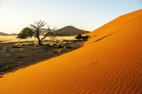 wolwedans in Namibia desert