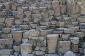 grass between stones