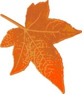 brown and red maple leaf, drawing