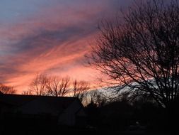 pink sunset