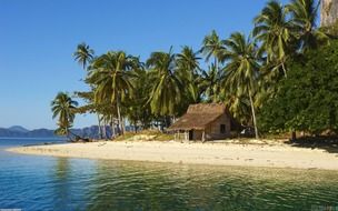 Picture of the Nipa hut on an ocean coast