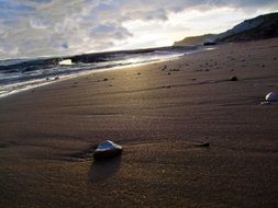 Stone on a sandy beach near the sea