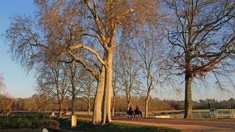 park in the castle of Chambord